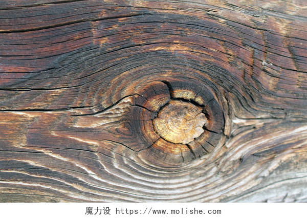 古老的木材质地与自然图案